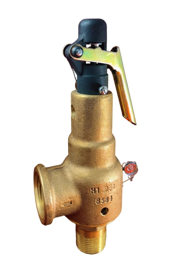 Kunkle 6021JHT01 - 2"x2.5" - Buy Kunkle valves online